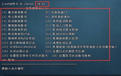 一键搭建，即刻启航 亚马逊云科技EC2云服务器部署WordPress与粒子云文章系统深度测评