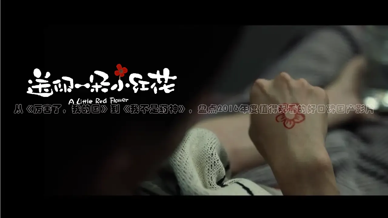 从《厉害了，我的国》到《我不是药神》，盘点2016年度值得观看的好口碑国产影片